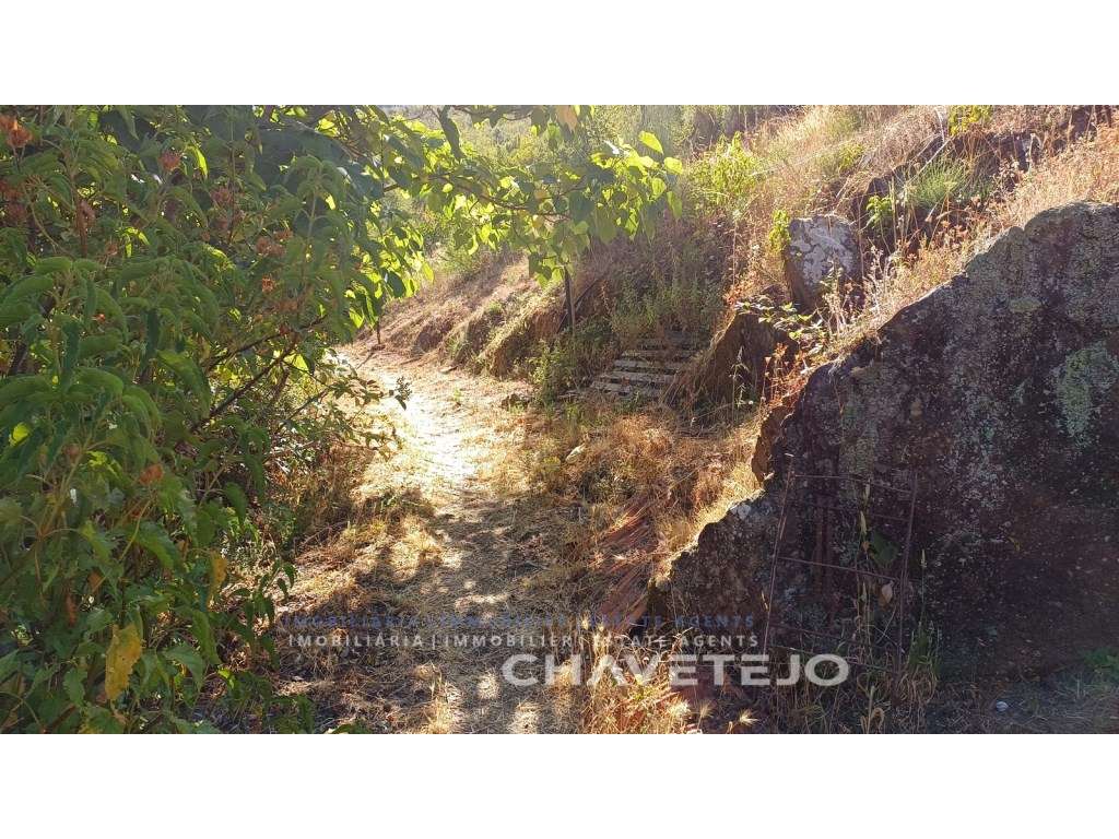 Encantador Turismo Rural em Figueiró dos Vinhos-57