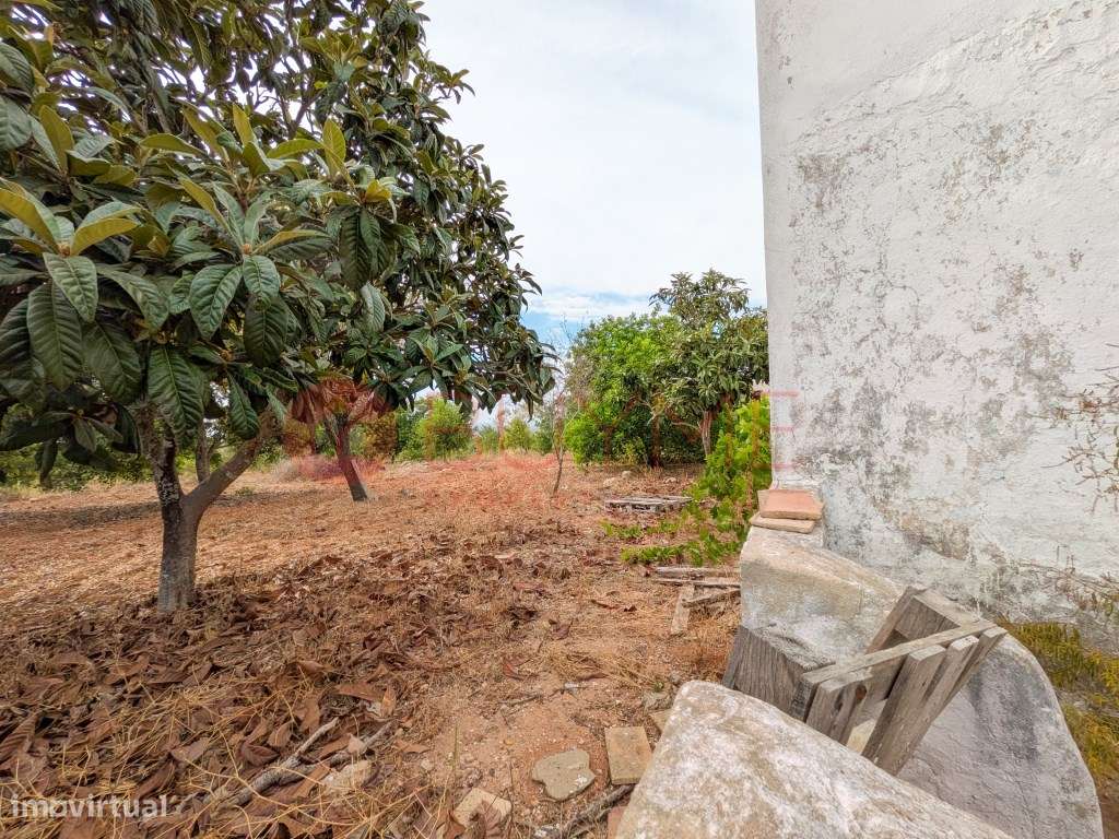 Moradia Rústica T6 com 5 Hectares em Tunes, Silves-48