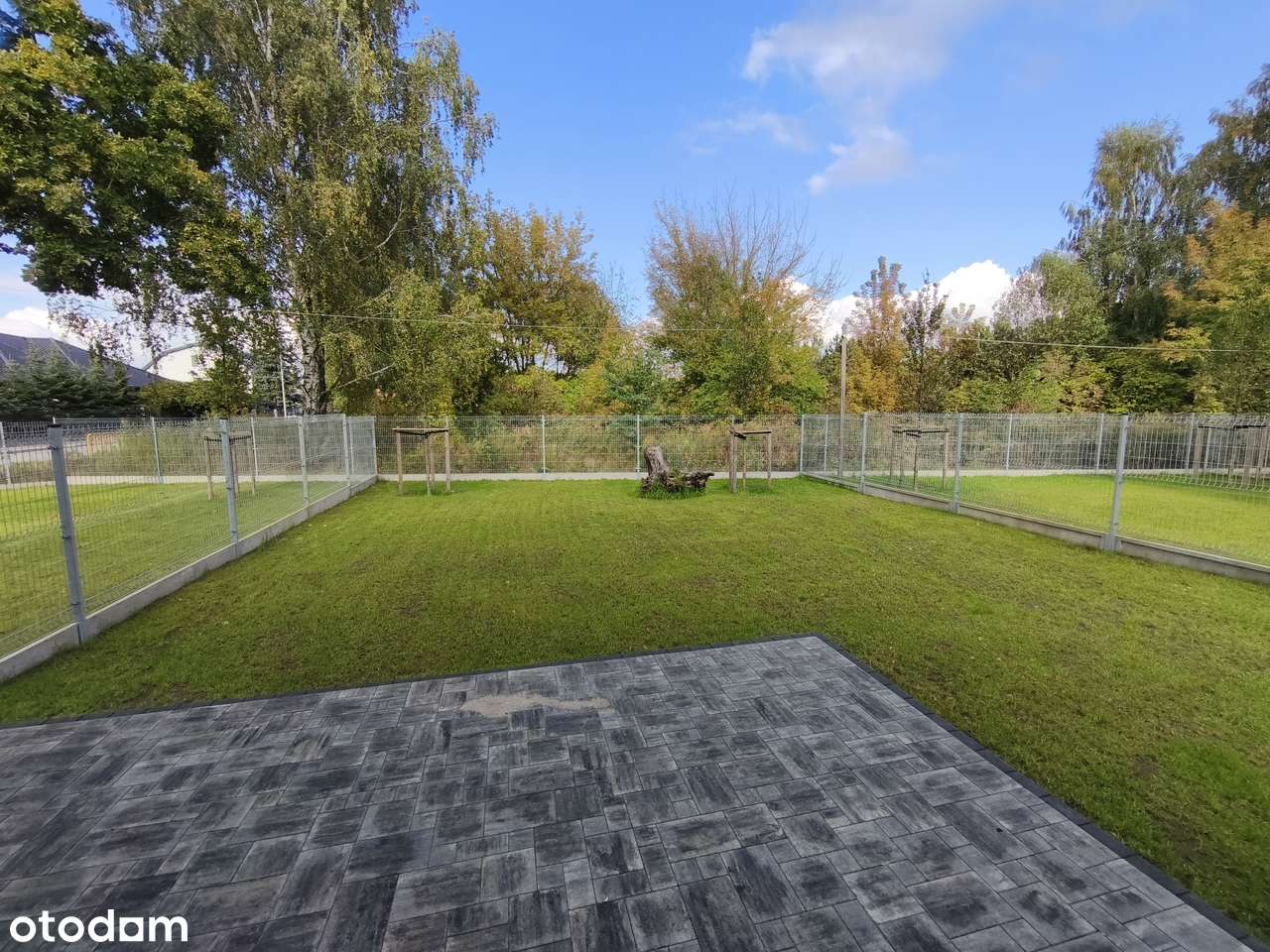 Bliźniak, nowa ulica i rezerwat przyrody - Pełny obrazek: 4/15