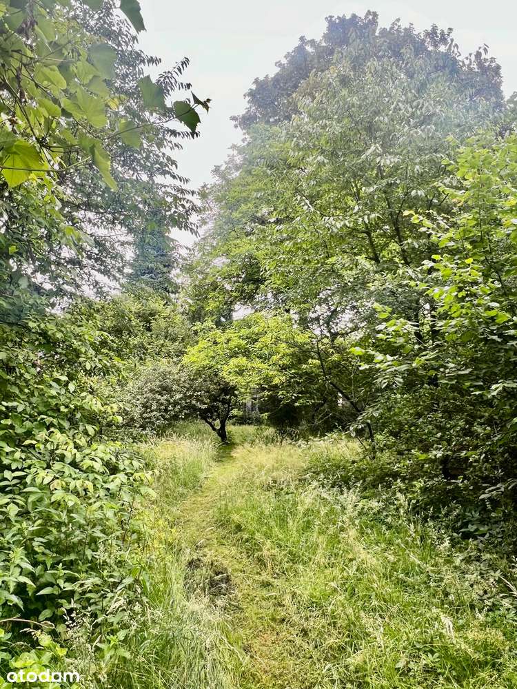 Sprzedam kamienicę w Świętochłowicach-2