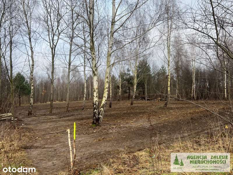 PRAŻMÓW, CENTRUM - trzy działki  budowlane blisko szkoły podstawowej-2