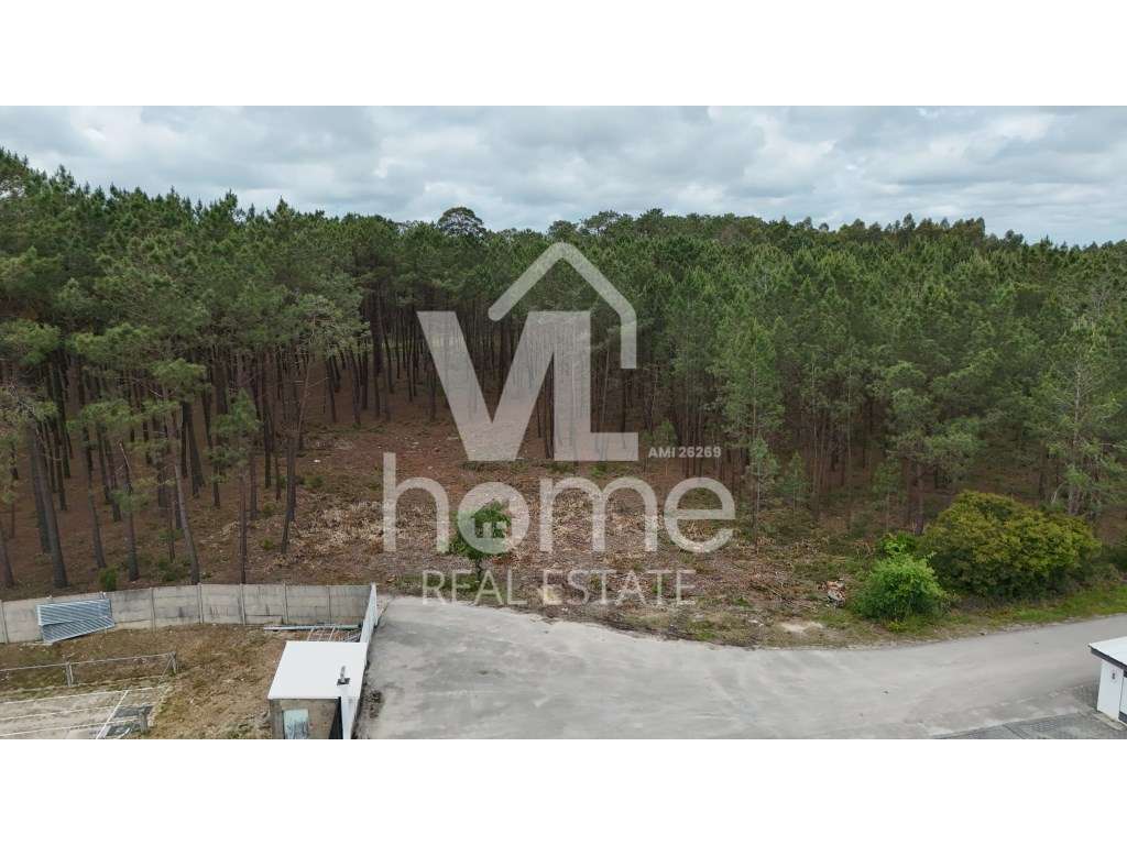 Terreno com Potencial para Moradias - Natureza e Conveniência de Mã...-7