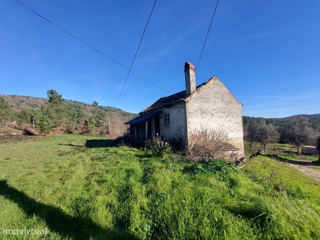 Quinta  Venda em Fornos de Algodres,Fornos de Algodres - Grande imagem: 4/10
