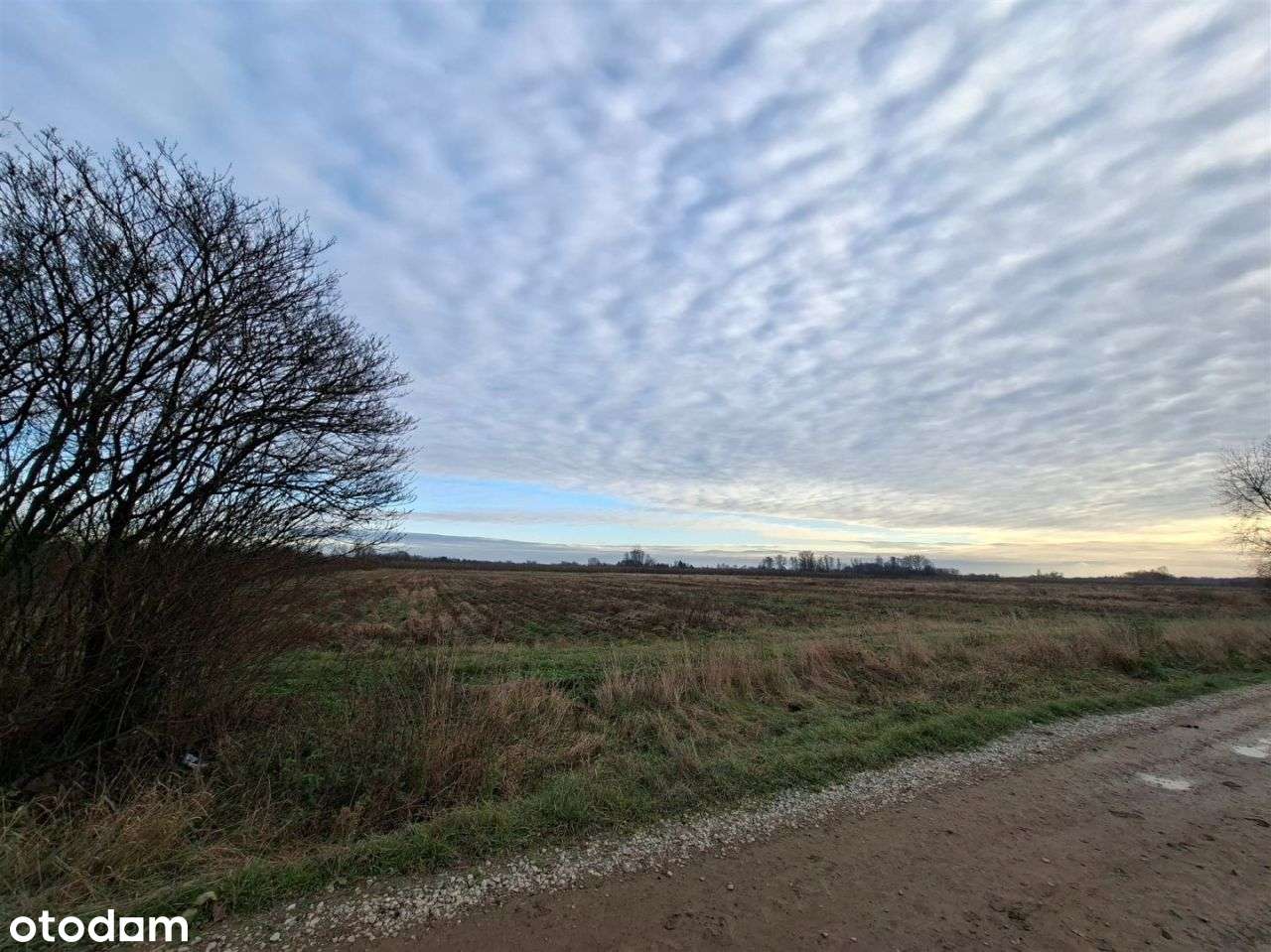 Działka rolna 1,7 ha, Czersk, gm. Góra Kalwaria-8