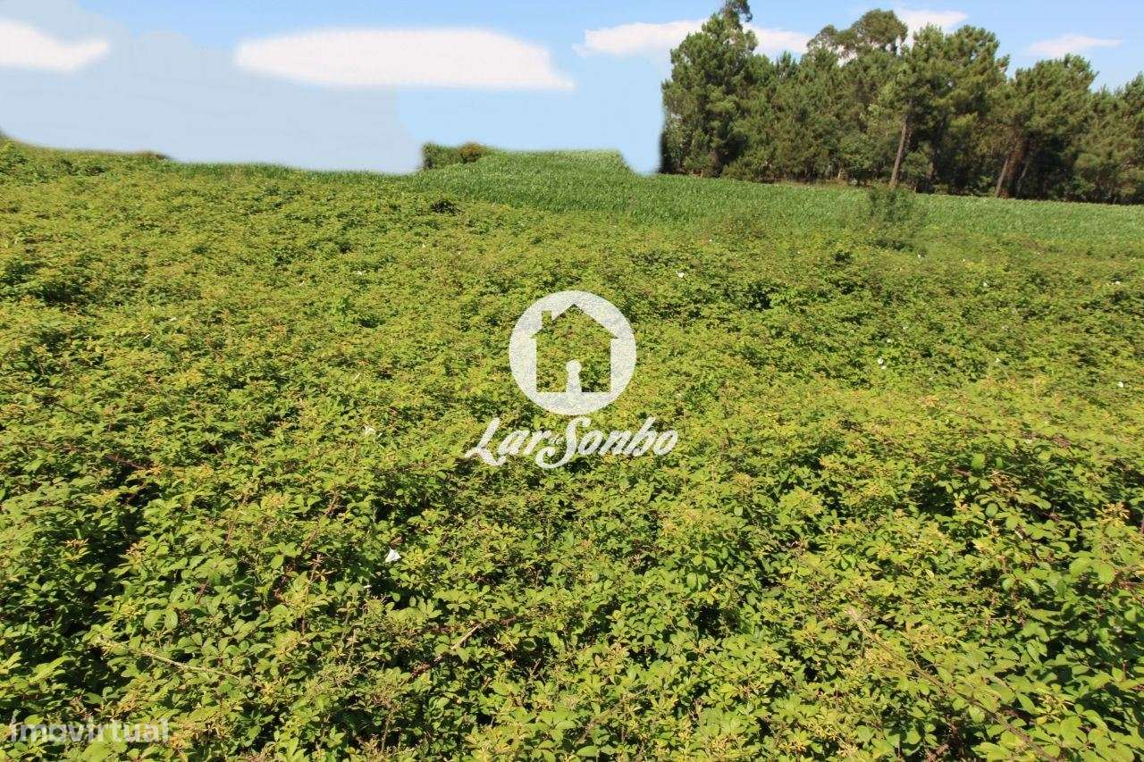 Terreno para construção - Grande imagem: 5/29