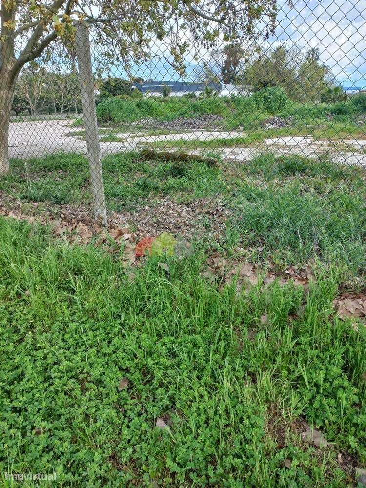 Terreno rústico com 8.396 m2, urbanizável, em Brejos do Assa, Palmela - Grande imagem: 5/9