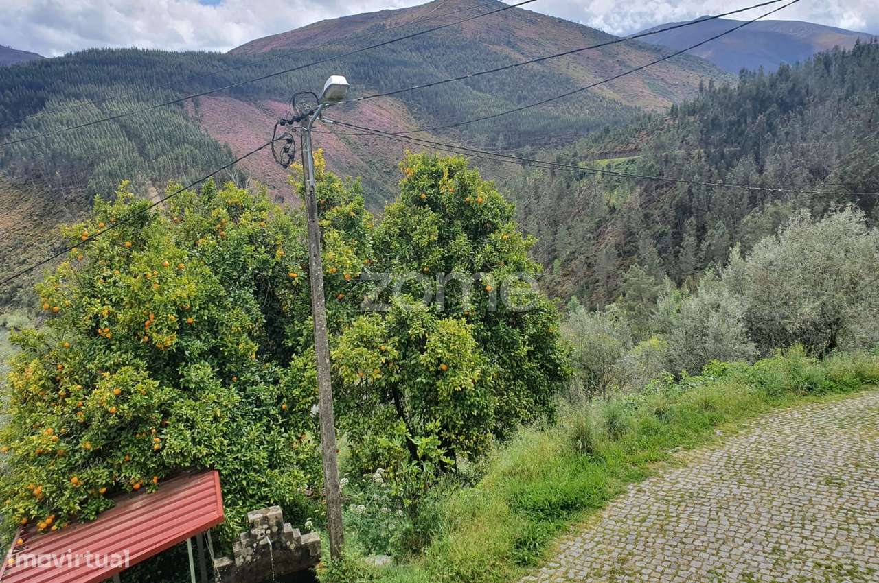 Moradia T2 - Vitoreira, Castro Daire - Grande imagem: 5/51