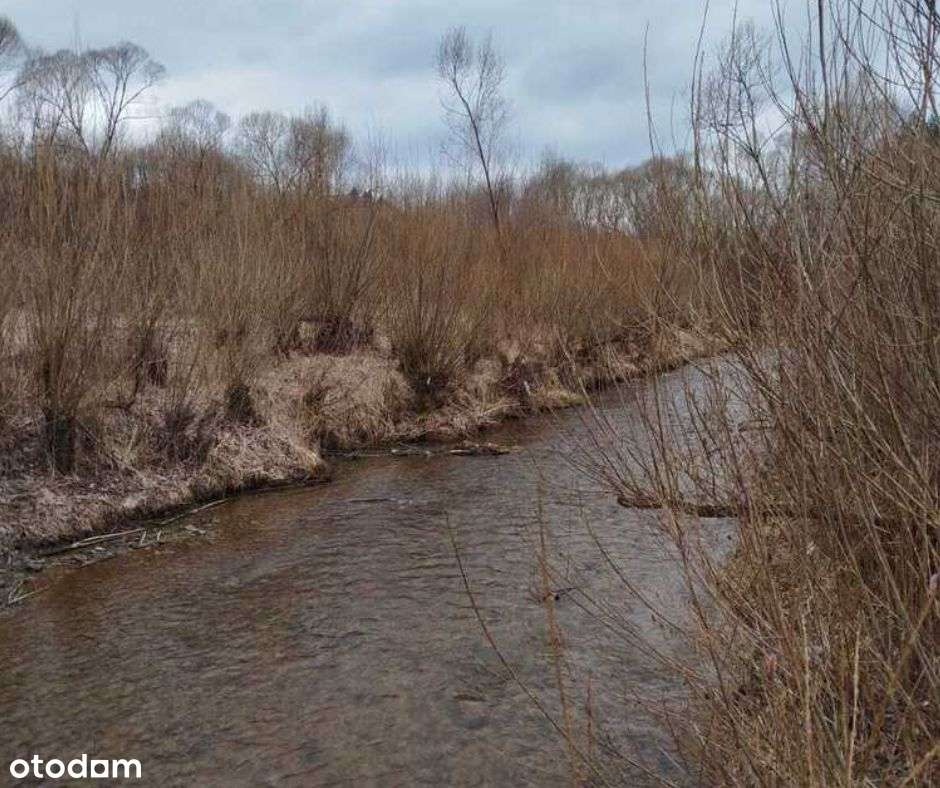 Olszanica- działka na sprzedaż - Pełny obrazek: 4/5