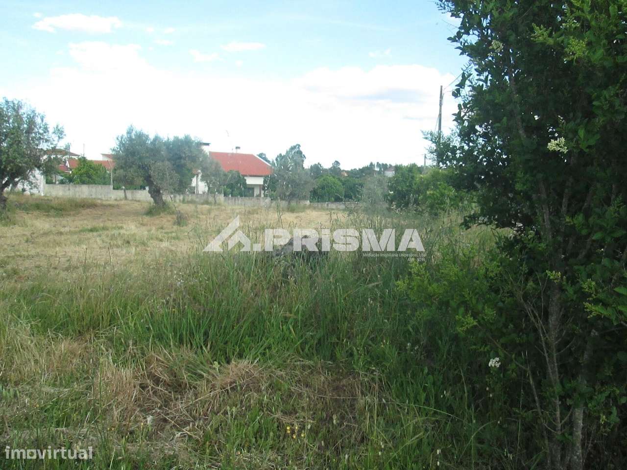 Terreno Rústico à Venda em Benquerenças - Grande imagem: 5/22