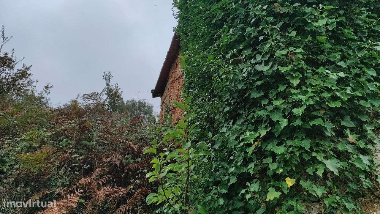 Quinta com vista deslumbrante - Grande imagem: 5/6