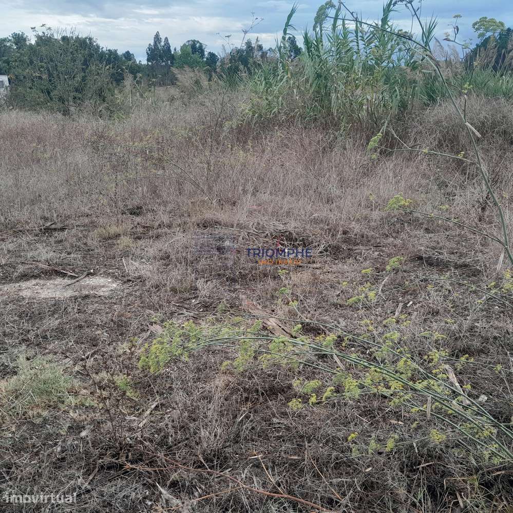 Terreno Urbano área 5.605 M² Amor, Leiria - Grande imagem: 4/13