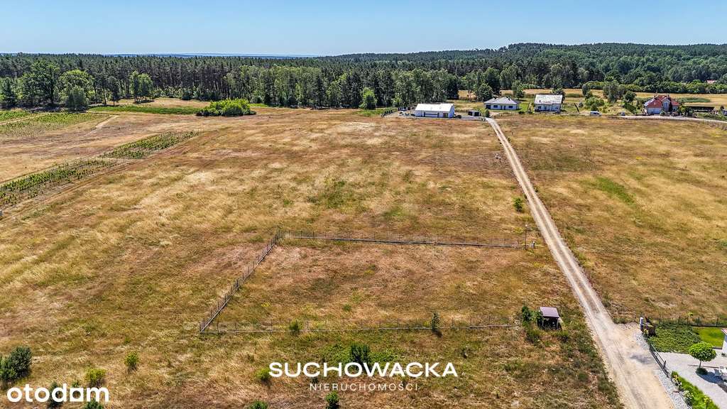 Działka bud. 17 ar, Przytok, ul. Fiołkowa-7