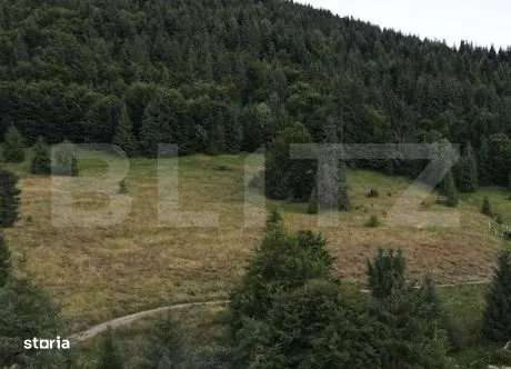 Teren Intravilan 4000 mp, Valea Draganului, - Imagine principală: 3/6