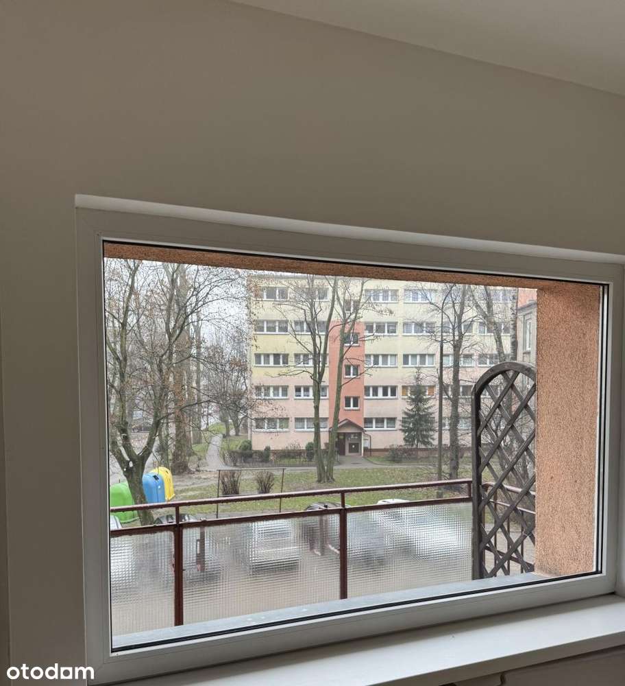 Interesująca oferta godna uwagi ####-4