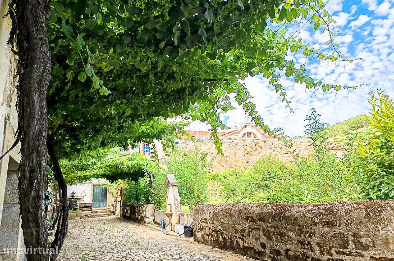 Quinta do Mosteiro de Salzedas com mais 17 ha e património histórico-38