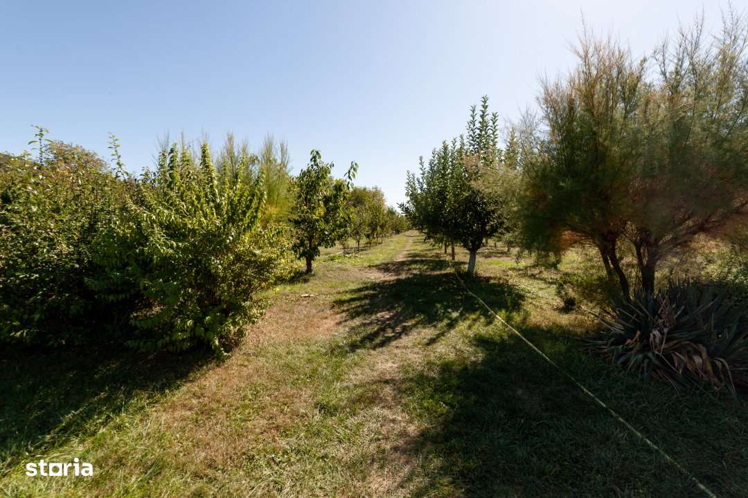 Casa visurilor cu livada roditoare si gradina amenajata Darmanesti-Arg - Imagine principală: 5/19