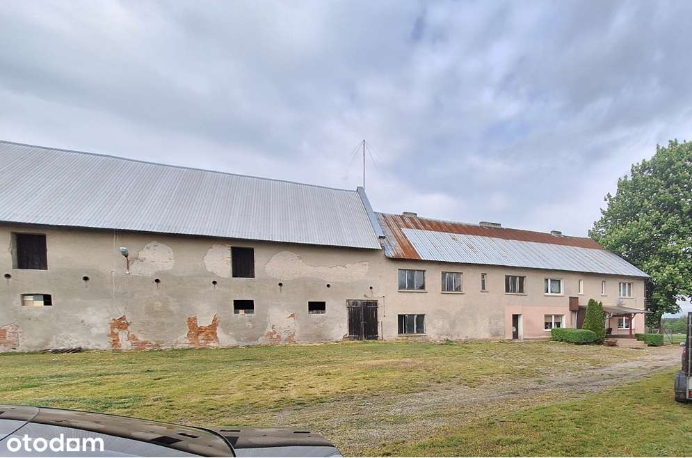 Grunt inwestycyjny rolny ziemia grunt orny budynki magazynowe - Pełny obrazek: 5/8