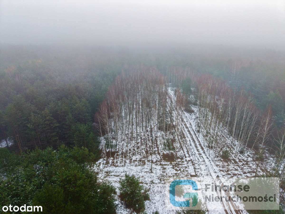 Działki budowlane po 1500 m² – Dąbrówka - Pełny obrazek: 4/14