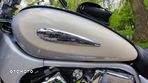 Suzuki Intruder - 8