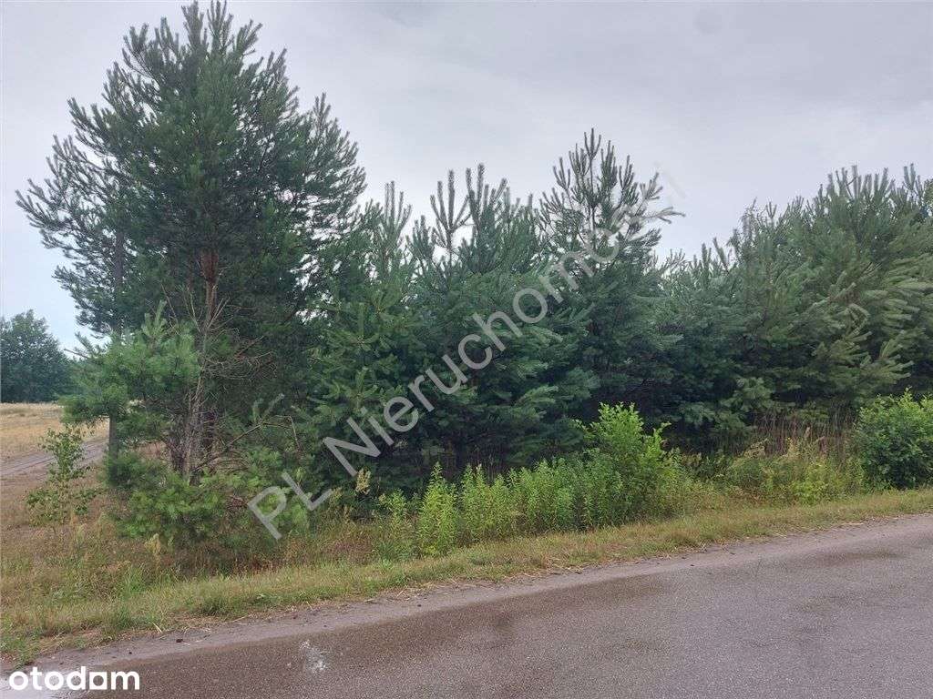 Działka Budowlana W Głuszy Rezerwatu-7