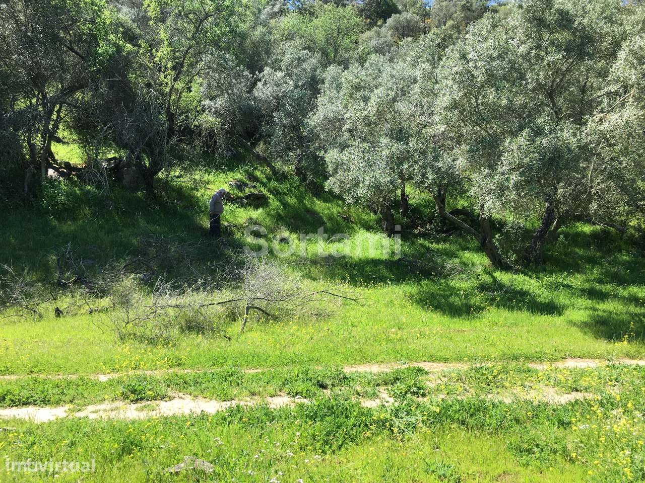 Terreno Rústico  Venda em Alcoutim e Pereiro,Alcoutim - Grande imagem: 3/4