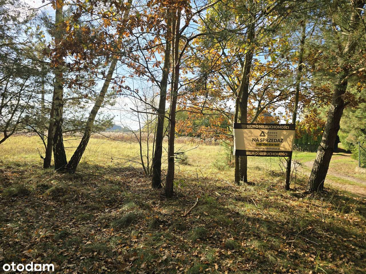 Piękna działka w Rybojadach | Zaciszne spokojne miejsce-3