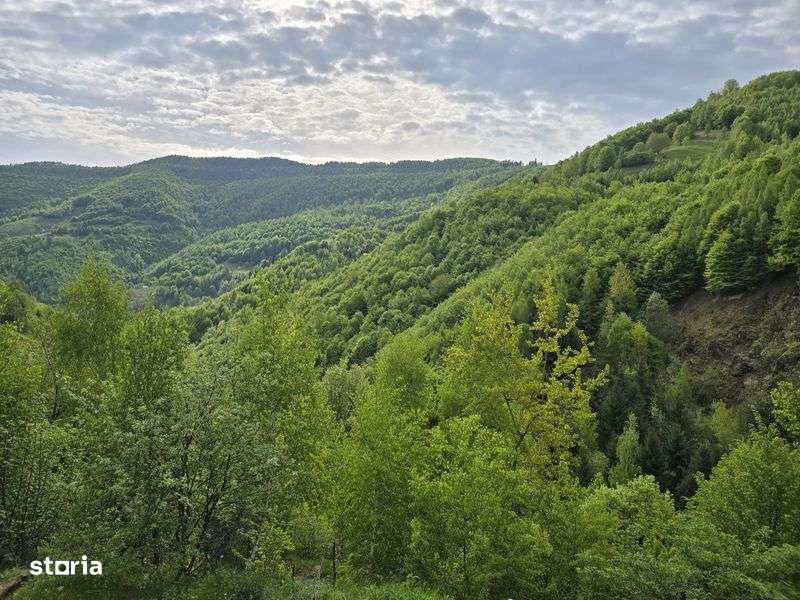 Cabana de vanzare in Muntele Rece - Imagine principală: 5/6