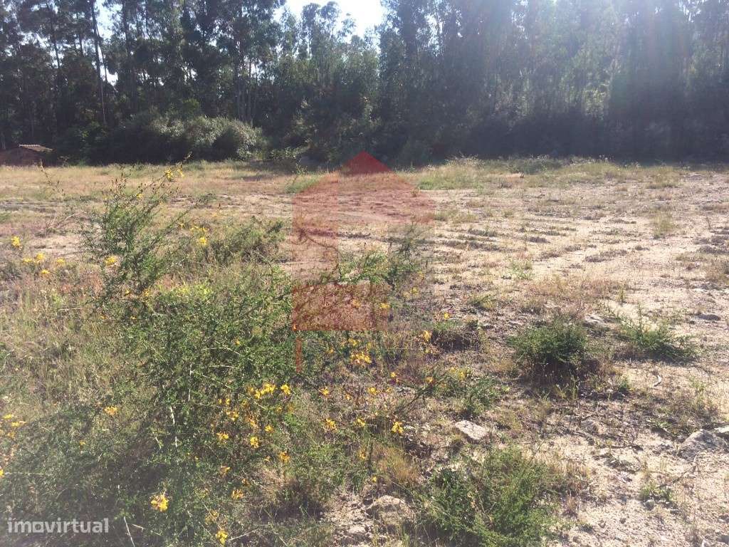 Terreno para construção, Gondiães - Grande imagem: 3/6