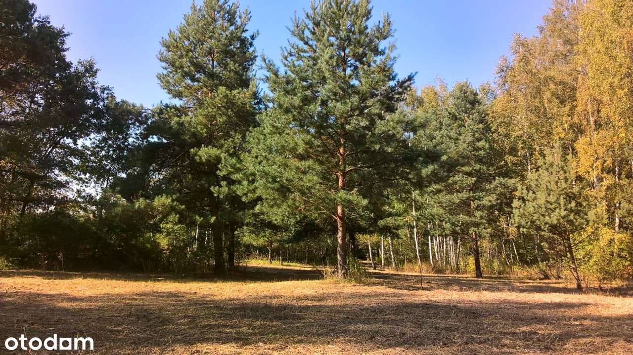 Inwestycja w przyszłość - działka w Duchnowie - Pełny obrazek: 4/6