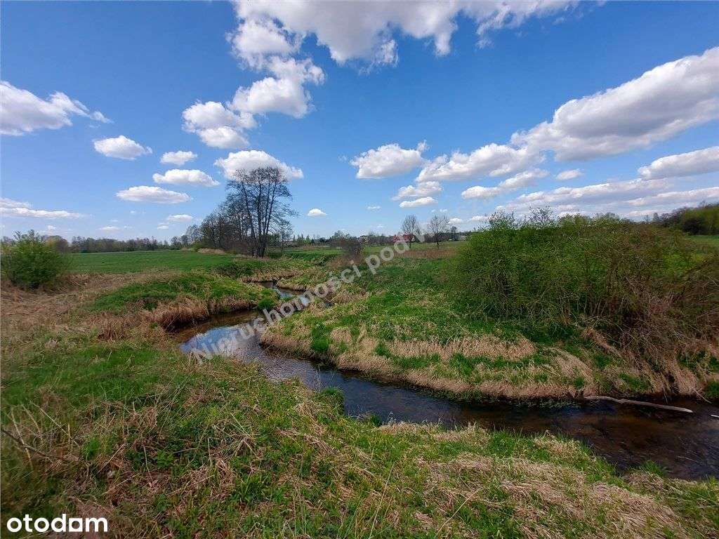 Urocza Działka Z Linią Brzegową - Pełny obrazek: 4/19