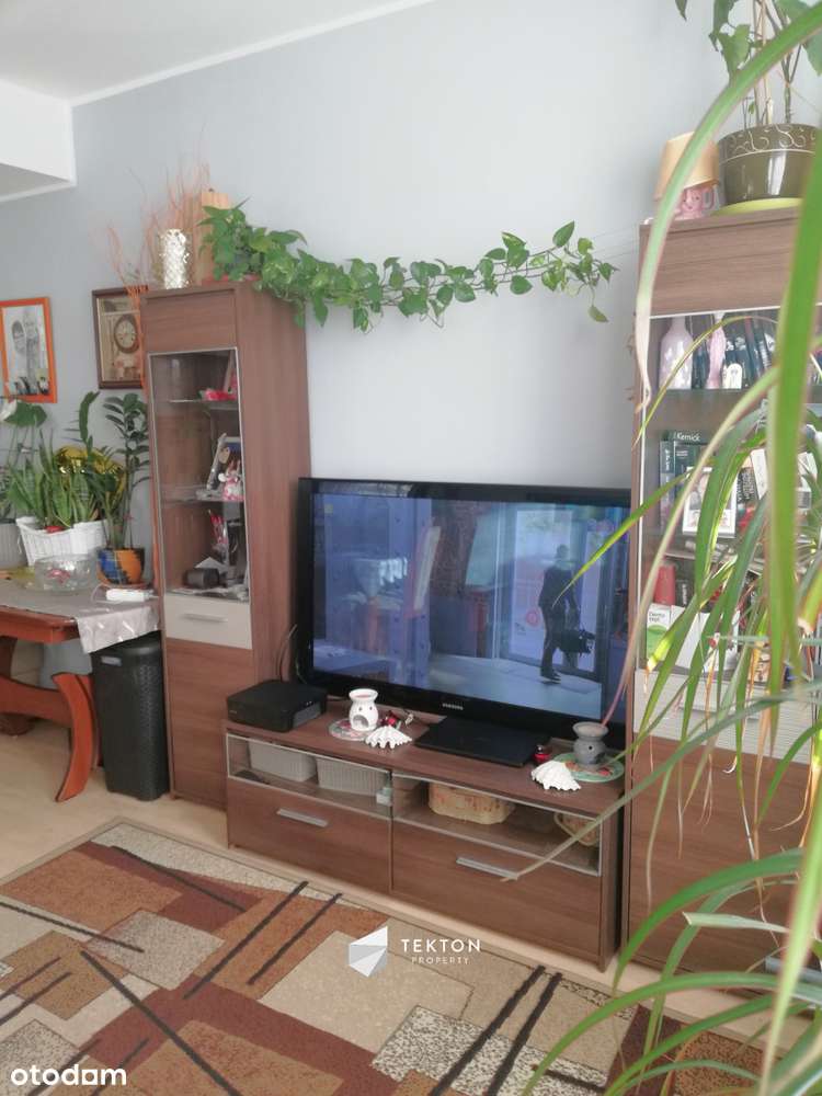 Kamienica inwestycyjna z ogromnym potencjałem - Pełny obrazek: 5/20