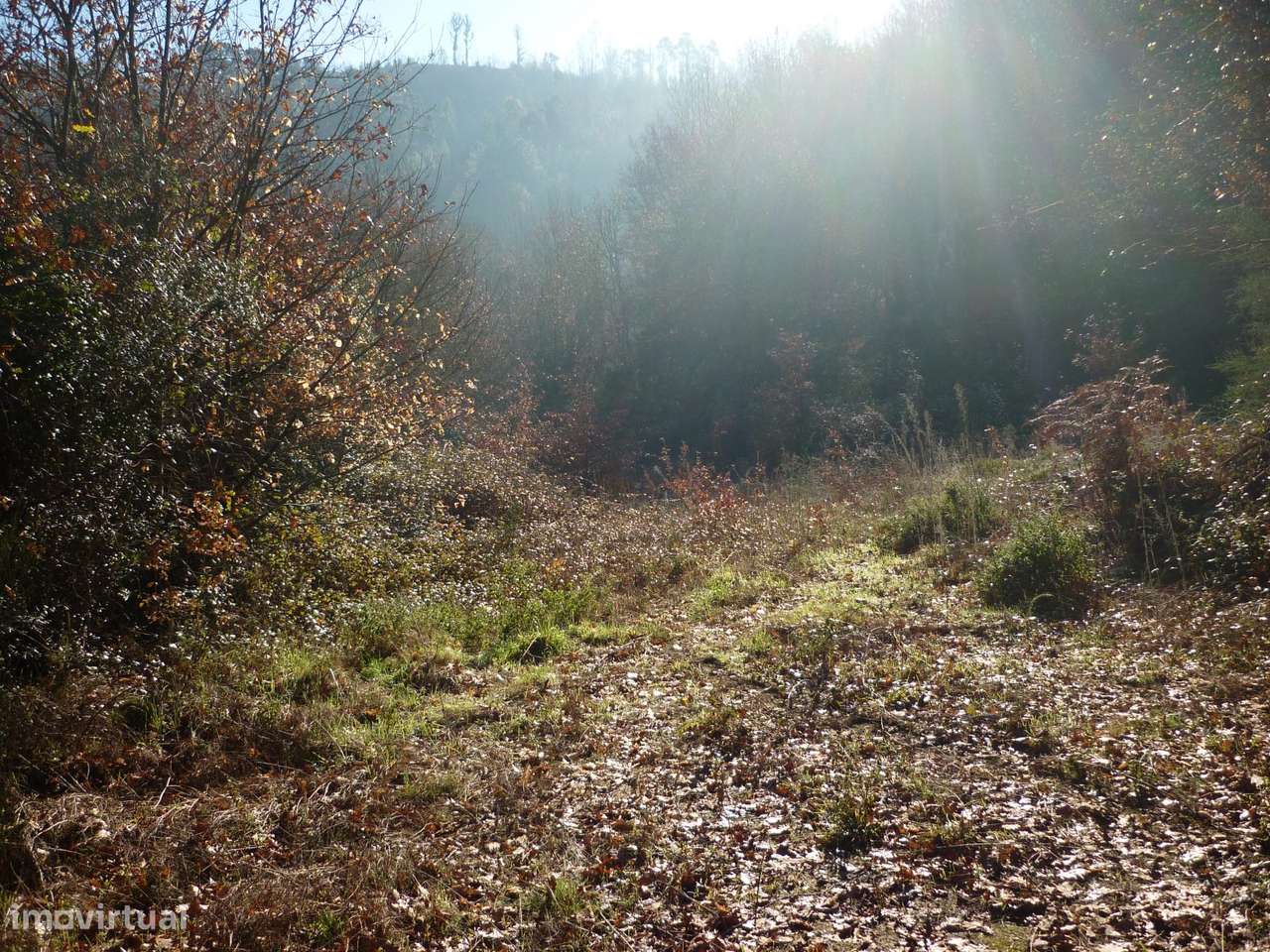 Terreno Junto a Nascente do Rio Ave!!!-11