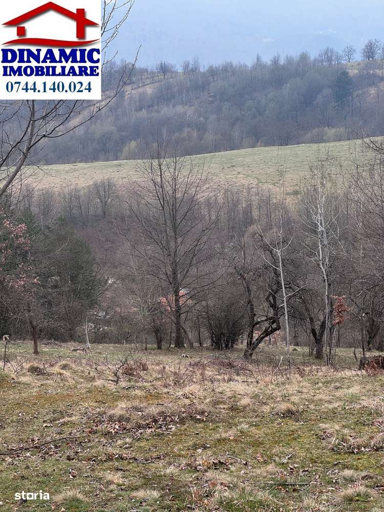 6000 MP intravilan, sat Bistrita, 9 Eur/MP - Imagine principală: 4/4