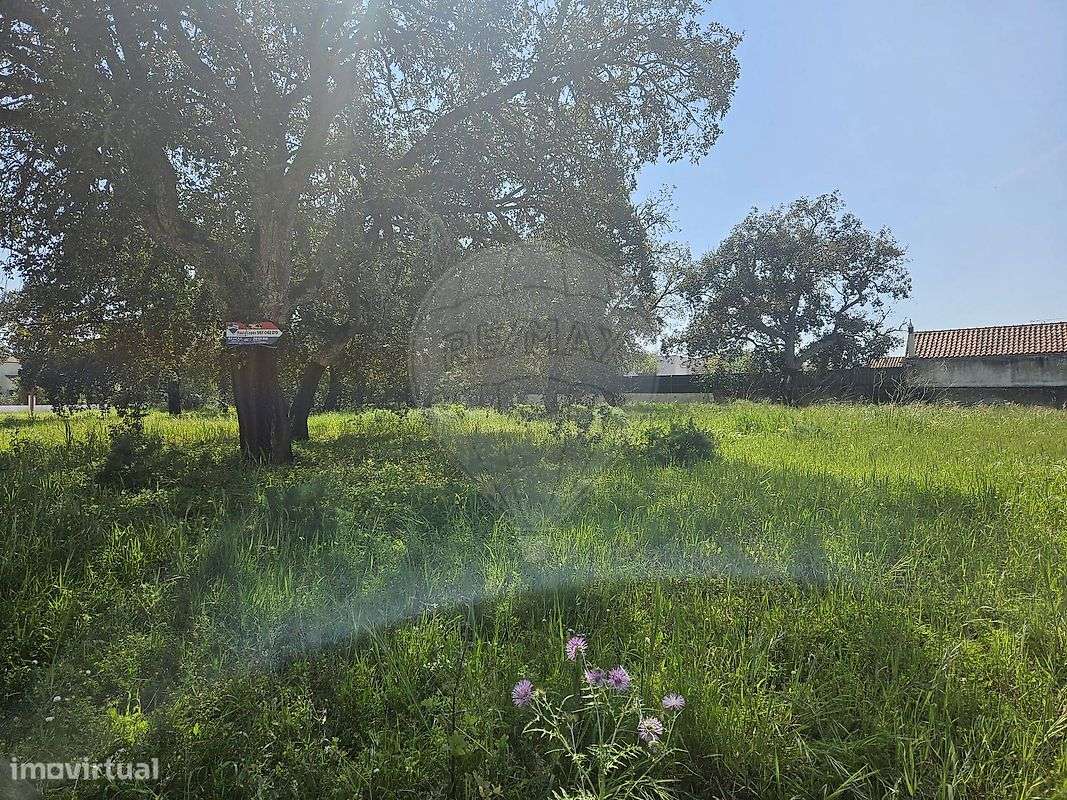 Terreno  para venda-16