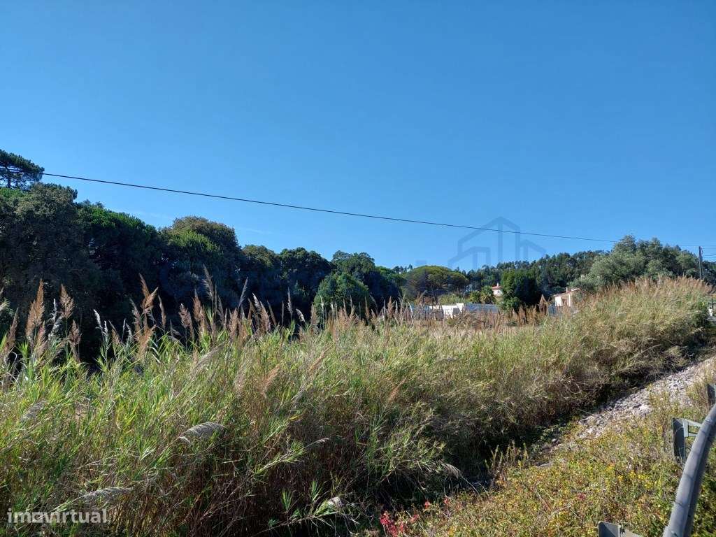 Lote para construção a 5 minutos das Caldas da Rainha - Grande imagem: 4/9