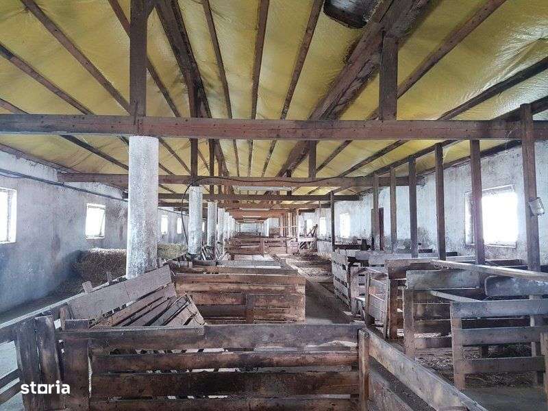 ID 12276: Grajd in Sieu, Bisitrita Nasaud - Imagine principală: 4/13