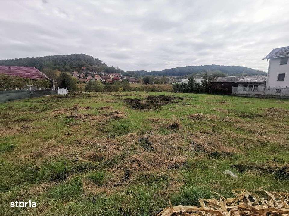 Teren intravilan de vanzare - Medias-1