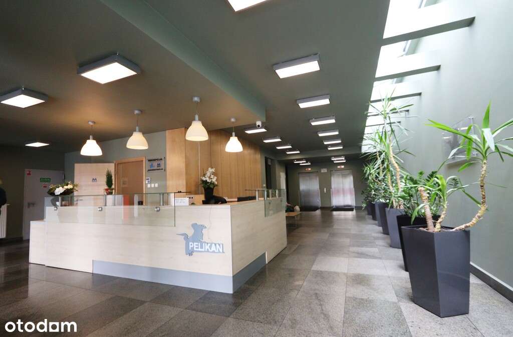 Komfortowe mieszk. basen sauna, park rzeka-17