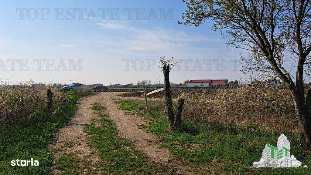 Teren 1171mp la intrare in Palanca langa Raul Sabar - Imagine principală: 1/8