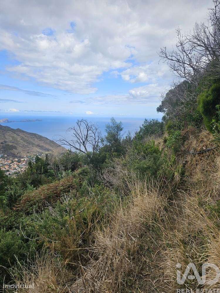 Terreno em Água de Pena de 10100,00 m2 - Grande imagem: 1/5