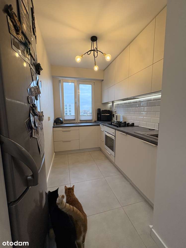 M4- Nowy Fordon- 3 pokoje- mieszkanie po GENERALNYM REMONCIE! - Pełny obrazek: 5/19