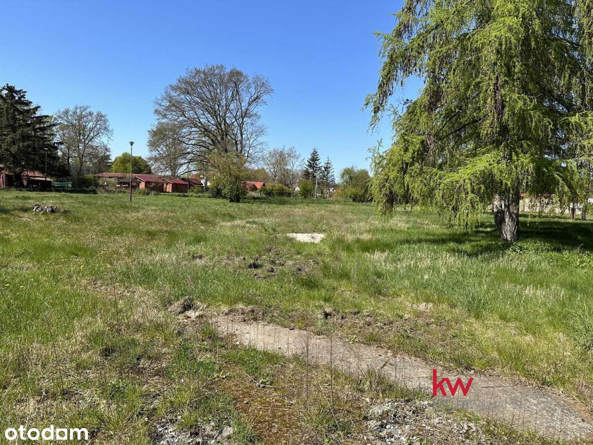 Atrakcyjna Działka Inwestycyjna w Centrum Dźwirzyn - Pełny obrazek: 4/9