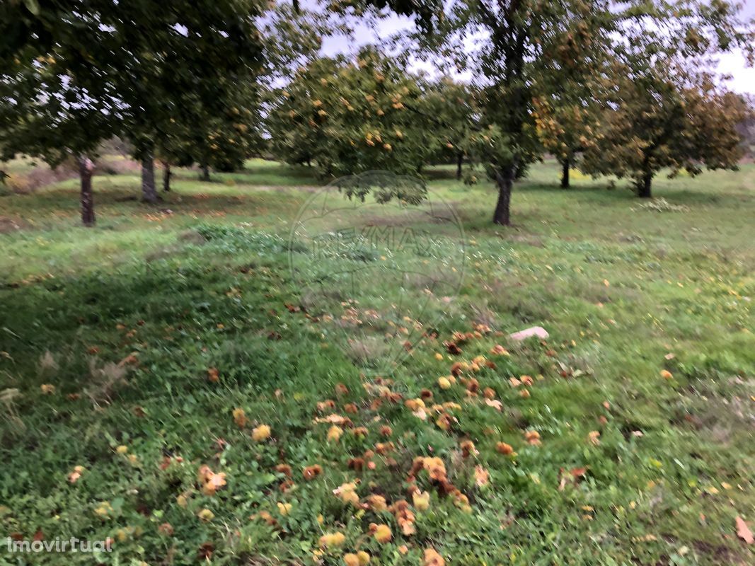 Terreno  para venda