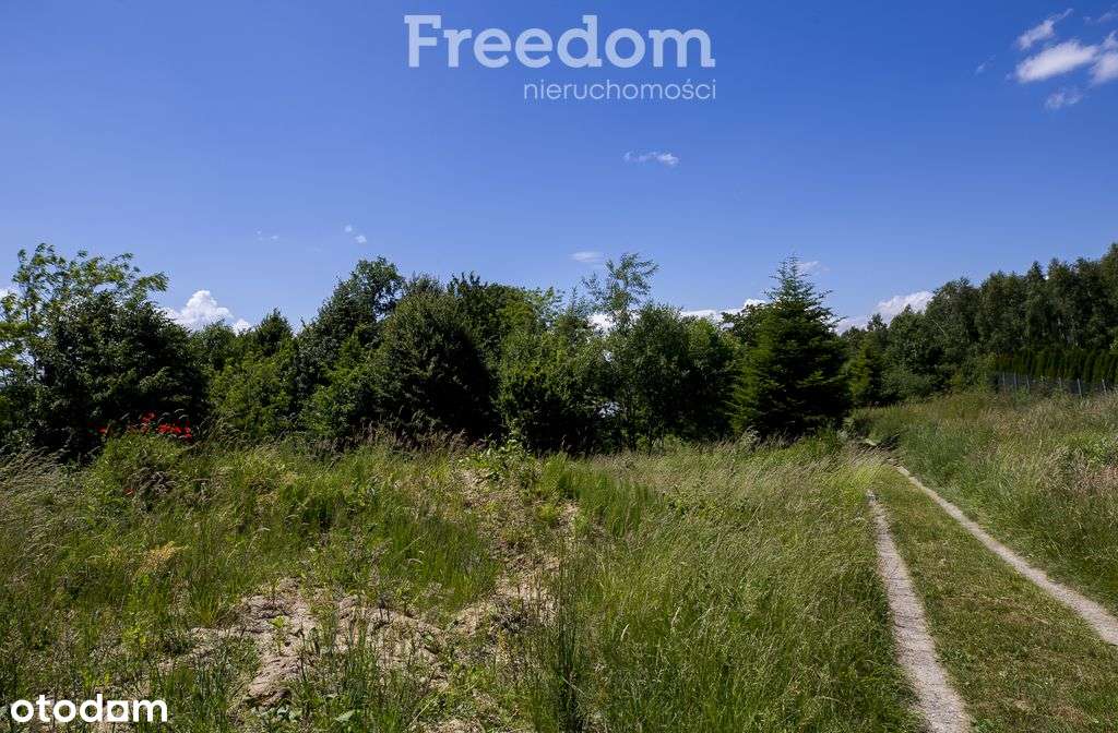 Dom 70 m2 na dużej działce przy lesie - Kielnarowa-13