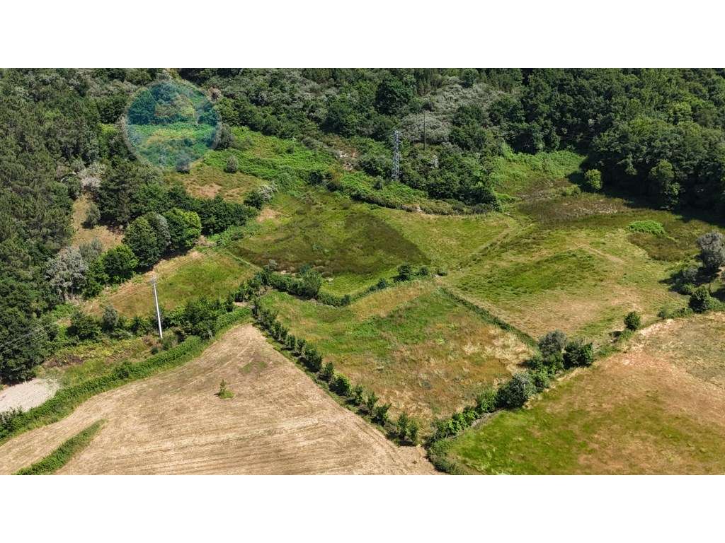 Quinta à venda, localizada no Lugar de Água Redonda, Cabeceiras de ...-23