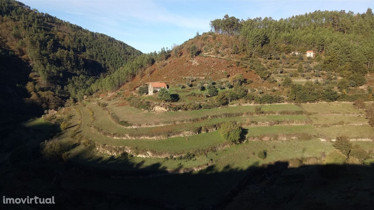 Quinta  Venda em Loriga,Seia