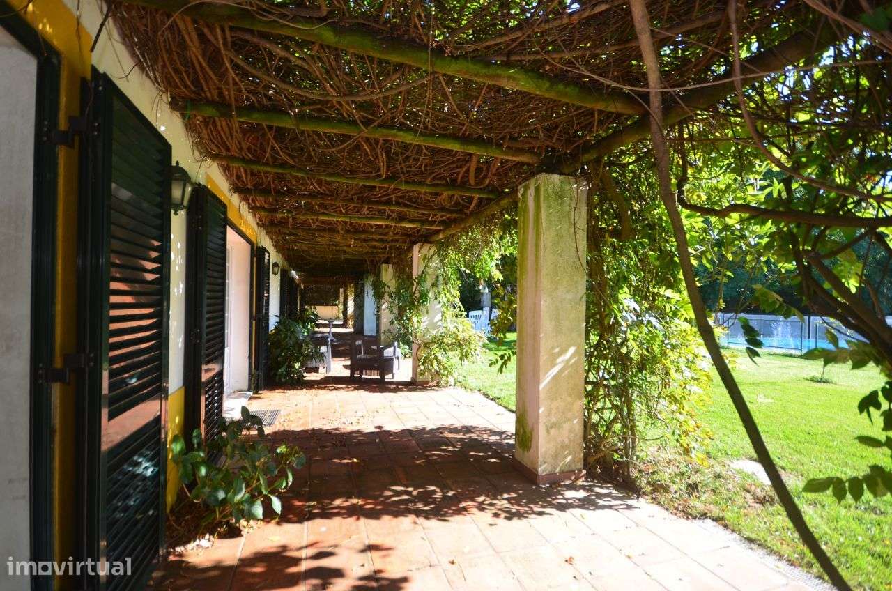 Quinta Olival das Moitas - Benfica do Ribatejo - Grande imagem: 3/20