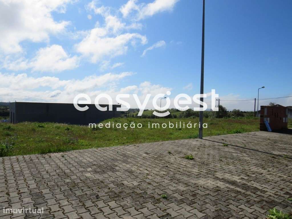 Terreno em Alvito - Grande imagem: 2/2