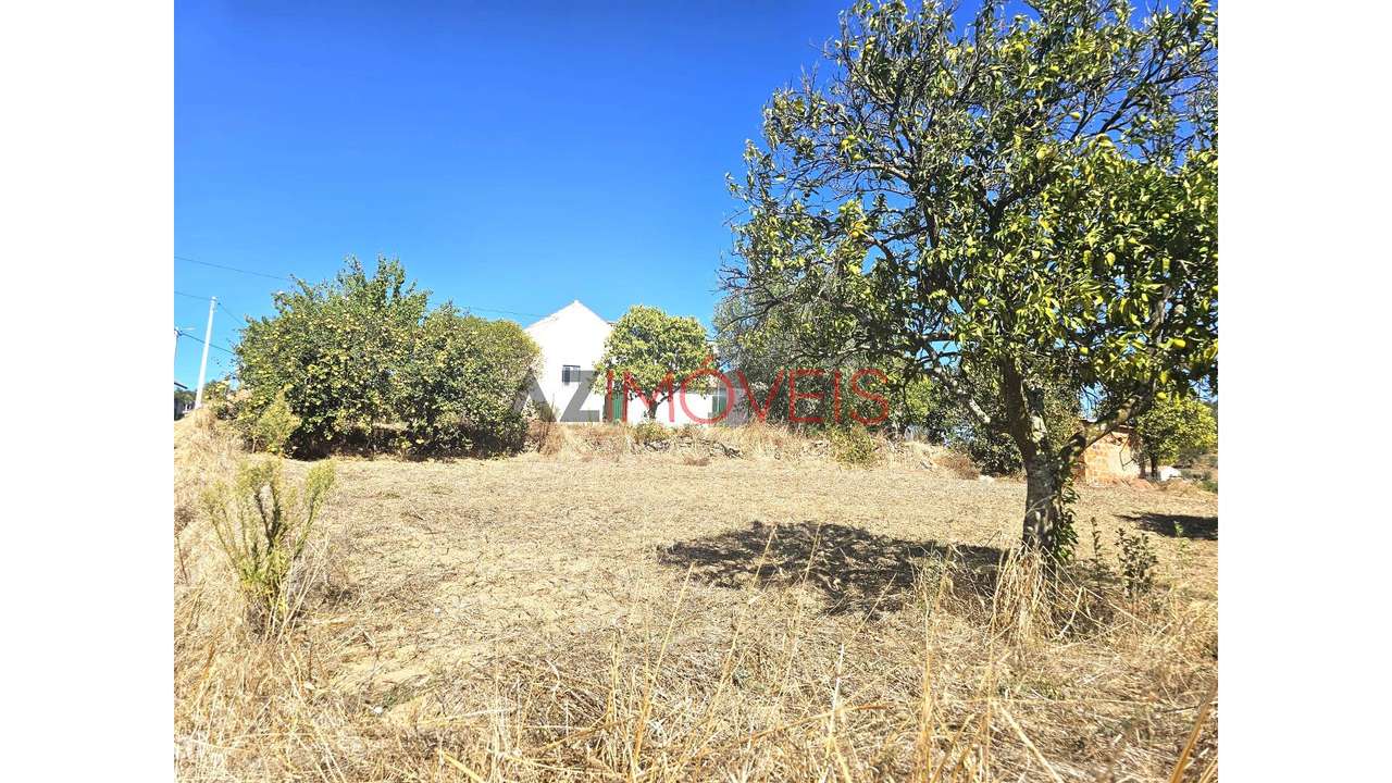 Moradia Rústica T2+1 Terreno com 3.480m2-5