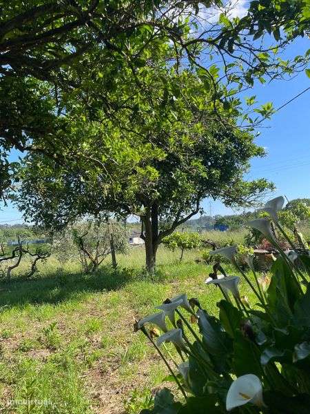 Terreno rústico com anexo - Grande imagem: 5/12